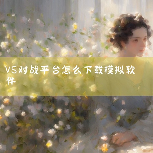 到网上找宽带中国战网平台 或浩方对战平台，这是两个最好的VS对战平台了，一般到处都有下，上百度去找 |