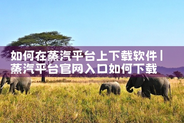 如何在蒸汽平台上下载软件
