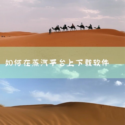 访问官方网站：首先，在浏览器中输入“蒸汽平台官网”进行搜索，找到并点击进入蒸汽平台的官方网站。找到下载按钮：进入官网后，在首页找到“下载”或类似的按钮。这个按钮通常位于页面显眼的位置，方便用户快速找到,