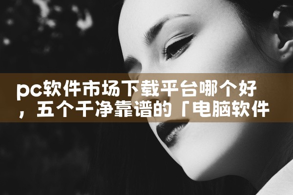 pc软件市场下载平台哪个好