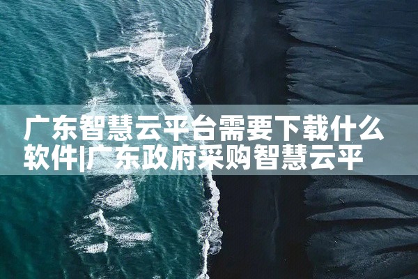 广东智慧云平台需要下载什么软件