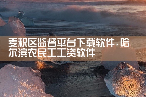 麦积区监督平台下载软件