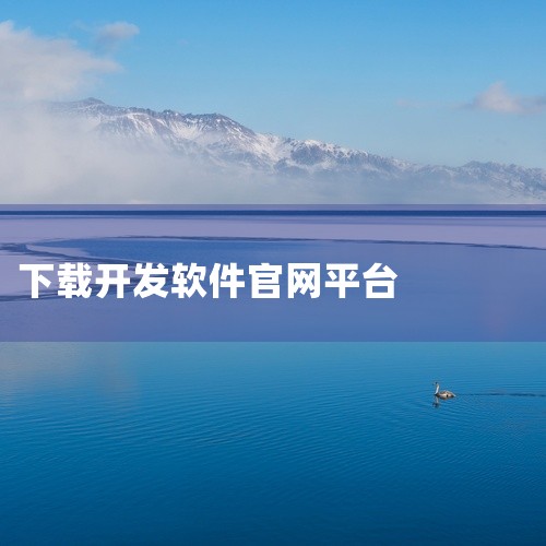 而 JetBrains 官网则是下载 IntelliJ IDEA 等开发工具的官方渠道。请确保从官方渠道下载软件，以获得最新...|