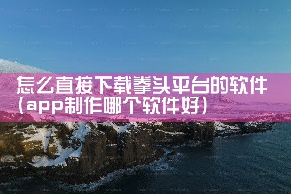 怎么直接下载拳头平台的软件