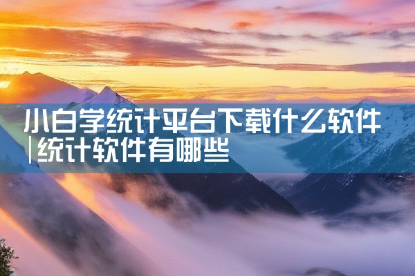 小白学统计平台下载什么软件