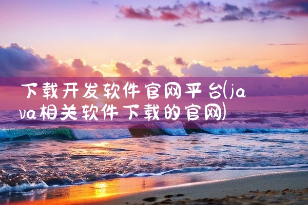 下载开发软件官网平台