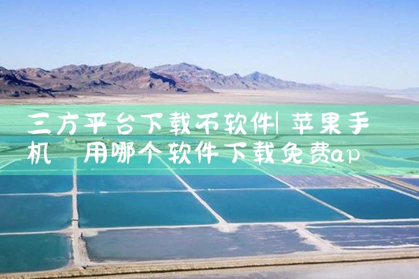 三方平台下载不软件