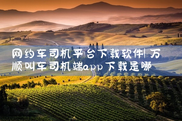 网约车司机平台下载软件
